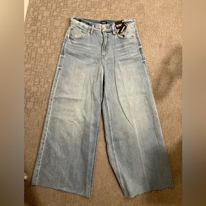 Express Wide Leg Jeans